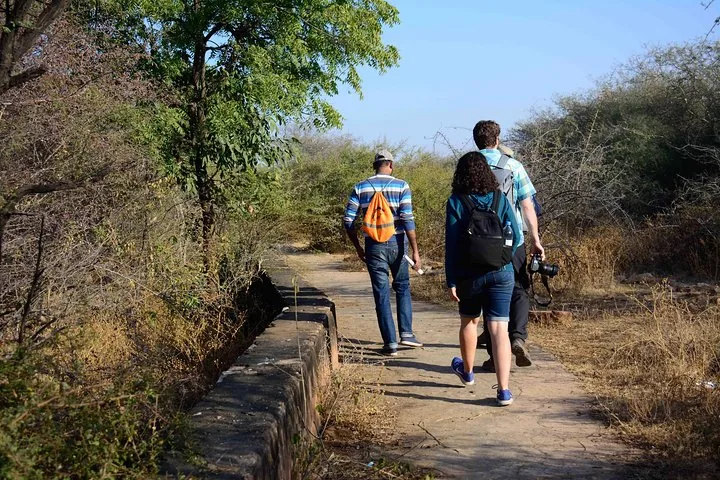 Un grupo de personas camina por un sendero asfaltado bordeado de vegetación seca.